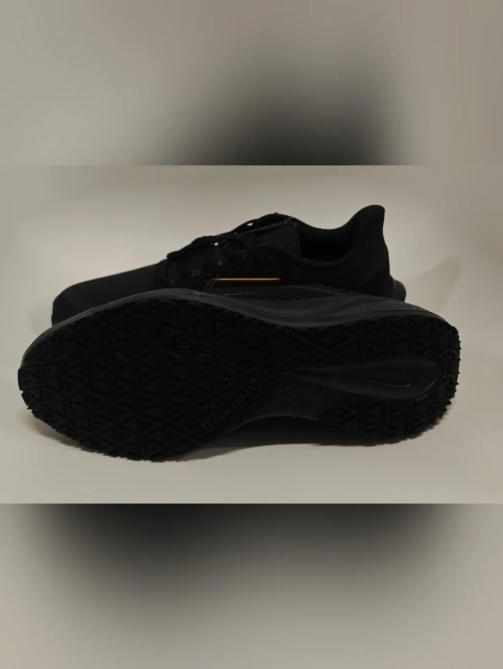 Nike Air Zoom Pegasus 41 GORE-TEX Black Anthracite Women’s Running Shoes